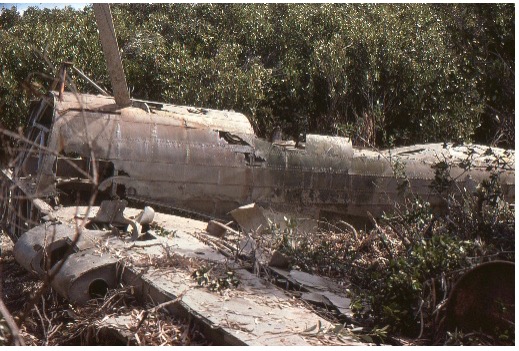 Aircraft wreckage lying in bushland